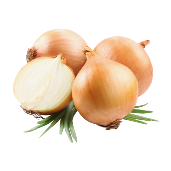 Cebola