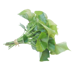 Rama de batata